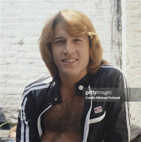 462 Andy Gibb Photos Stock Photos & High